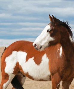 White Brown Pinto Horse Paint By Numbers