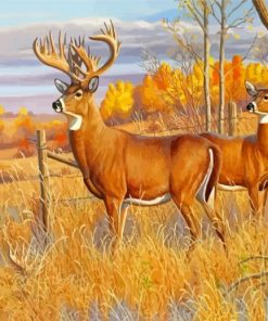Whitetail Buck And Doe Animals Paint By Numbers