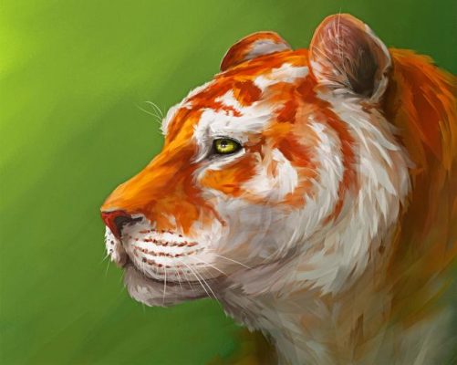 Abstract Golden Tiger Paint By Numbers