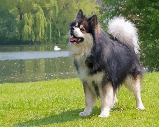 Adorable Finnish Lapphunds Paint By Numbers