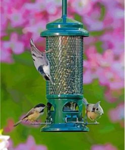 Aesthetic Bird Feeder Paint By Numbers