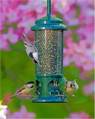 Aesthetic Bird Feeder Paint By Numbers