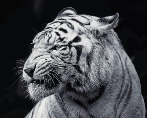 Aesthetic Black And White Tiger Paint By Numbers