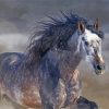 Aesthetic Dark Grey Horse Paint By Numbers