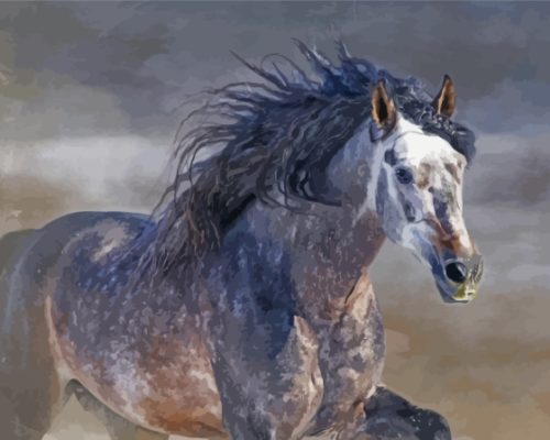 Aesthetic Dark Grey Horse Paint By Numbers