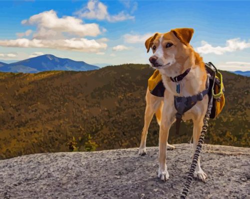 Aesthetic Dog Hiking Paint By Numbers