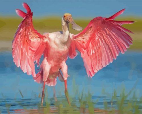 Aesthetic Roseate Spoonbill Paint By Numbers