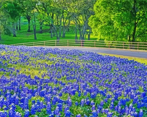 Aesthetic Texas Bluebonnets Paint By Numbers