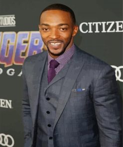 Aesthetic Anthony Mackie Paint By Numbers
