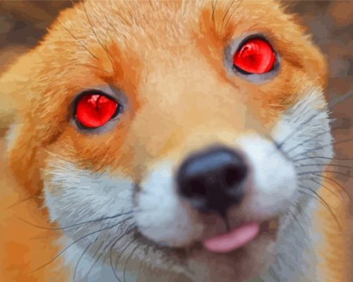 Aesthetic Fox With Red Eyes Paint By Numbers