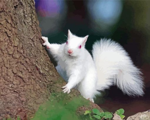 Albino Squirrel On Tree Paint By Numbers