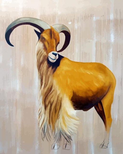 Aoudad Sheep Art Paint By Numbers