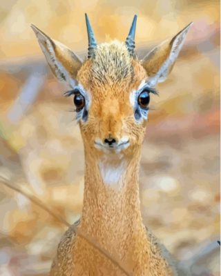 Baby Dik Dik Animal Paint By Numbers