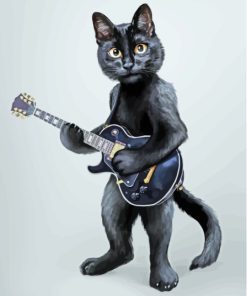 Black Guitar And Cat Paint By Numbers
