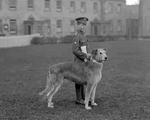 Black And White Irish Guard With Dog Paint By Numbers