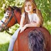 Blonde Girl On Horse Paint By Numbers