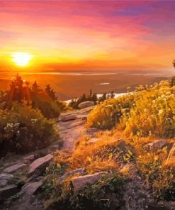 Cadillac Mountain In Maine Paint By Numbers