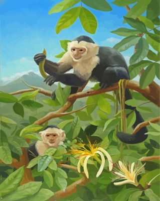 Capuchin Monkeys On Tree Paint By Numbers