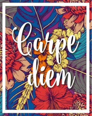 Carpe Diem Paint By Numbers