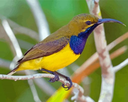 Close Up Yellow Sunbird Paint By Numbers