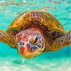 Cool Hawaii Turtle Paint By Numbers