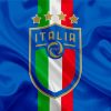 Cool Italy National Football Team Logo Paint By Numbers