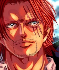 Cool Shanks One Piece Paint By Numbers