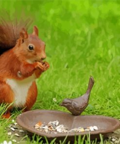 Cute Squirrel And Bird Paint By Numbers