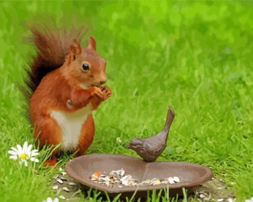 Cute Squirrel And Bird Paint By Numbers