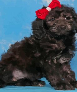 Cute Black Whoodle Puppy Paint By Numbers