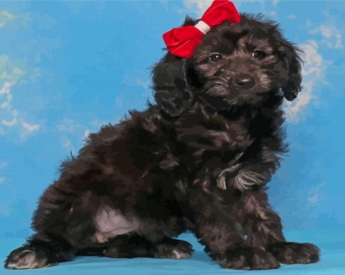 Cute Black Whoodle Puppy Paint By Numbers