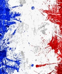 France Flag Art Paint By Numbers
