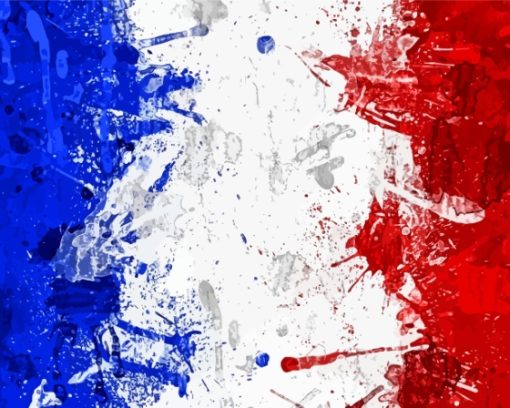 France Flag Art Paint By Numbers