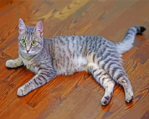 Grey Tabby Cat Animal Paint By Numbers