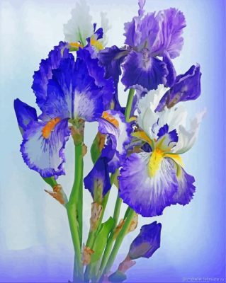 Irises Bouquet Of Flowers Paint By Numbers