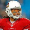 Larry Fitzgerald American Football Player Paint By Numbers