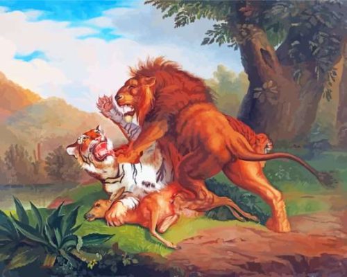 Lion Tiger Fight Paint By Numbers