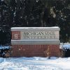 Michigan State University In Snow Paint By Numbers