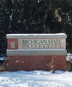 Michigan State University In Snow Paint By Numbers