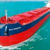 Red Bulk Carrier Paint By Numbers