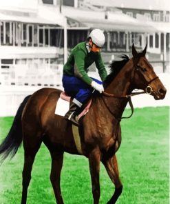 Red Rum Racehorse Paint By Numbers