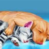 Sleeping Dog And Cat Animals Art Paint By Numbers