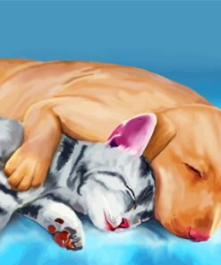 Sleeping Dog And Cat Animals Art Paint By Numbers