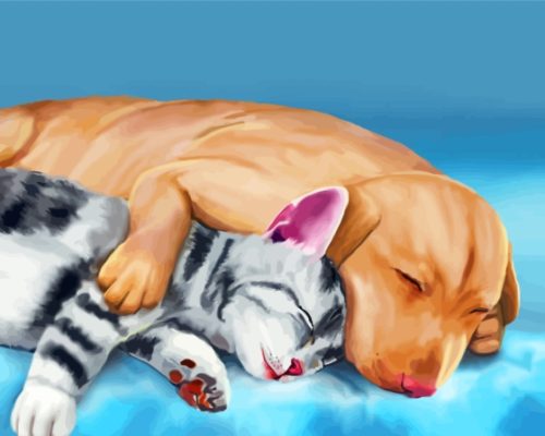 Sleeping Dog And Cat Animals Art Paint By Numbers