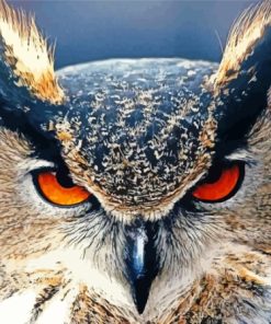 The Angry Owl Paint By Numbers
