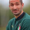 The Footballer Chiellini Giorgio Paint By Numbers