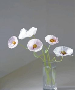 White Vase Of Poppy Paint By Numbers
