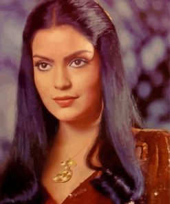 Young Zeenat Aman Paint By Numbers