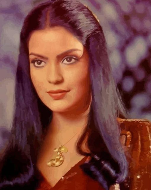 Young Zeenat Aman Paint By Numbers