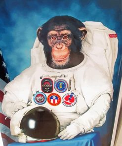 Aesthetic Space Astronaut Chimp Paint By Numbers